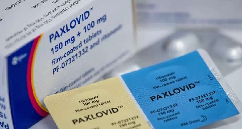 paxlovid