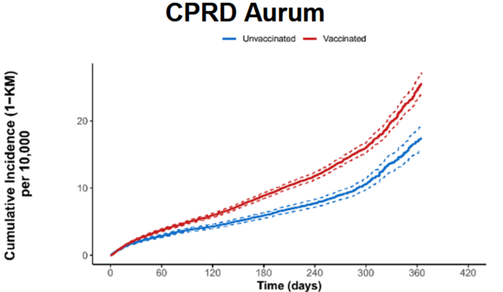 新的泄露的辉瑞报告显示，接种疫苗的人的心脏正在“迅速衰变”