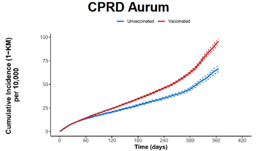 新的泄露的辉瑞报告显示，接种疫苗的人的心脏正在“迅速衰变”