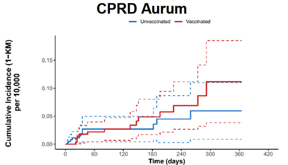新的泄露的辉瑞报告显示，接种疫苗的人的心脏正在“迅速衰变”